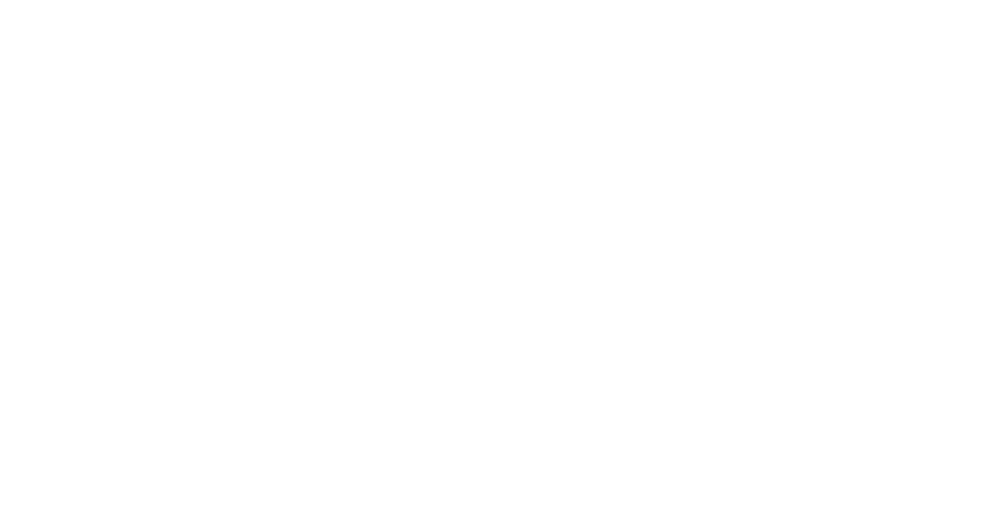 ELSA Austria